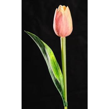 Paramit - Tulipán svetle broskyňový 40 cm